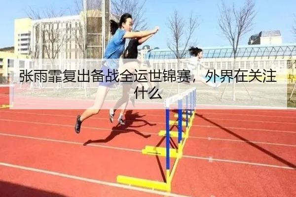 张雨霏复出备战全运世锦赛，外界在关注什么